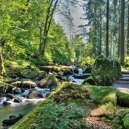 Cozy I Blockhütte Im Nationalpark I Apartamento Neureichenau
