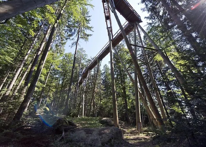 Cozy I Blockhuette Im Nationalpark I Lejlighed *