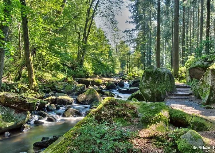 Cozy I Blockhuette Im Nationalpark I Lejlighed Neureichenau